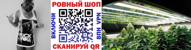 Купить закладку Дегтярск БУТИРАТ  Мефедрон  Alpha PVP  МАРИХУАНА  ГАШ  Cocaine 