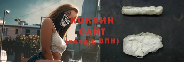 мдпв Няндома