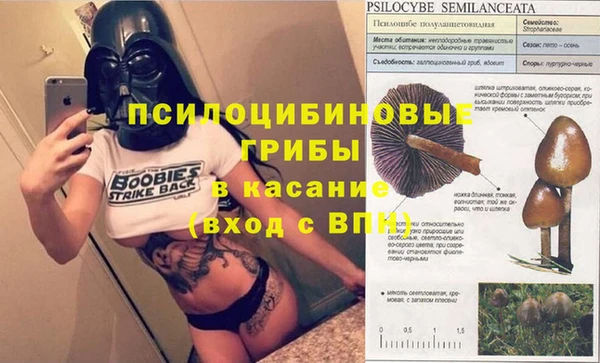 ГАЛЛЮЦИНОГЕННЫЕ ГРИБЫ Алексин