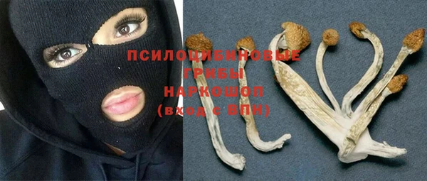 ГАЛЛЮЦИНОГЕННЫЕ ГРИБЫ Алексин